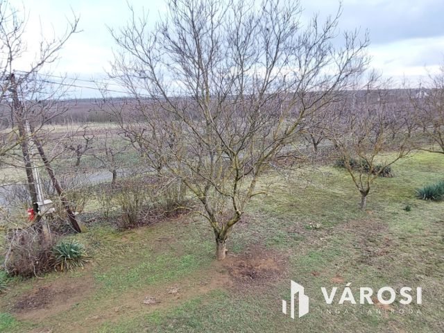 Komplex vidéki birtok műhellyel és cégátvételi lehetőséggel