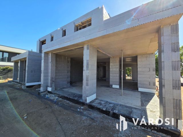 Vízparti Luxusotthon Dunaharasztin